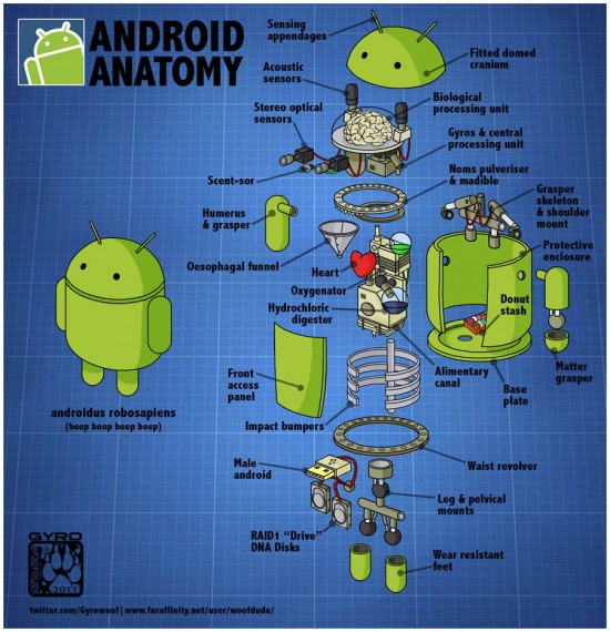 Illustration: The Android robot gets dissected