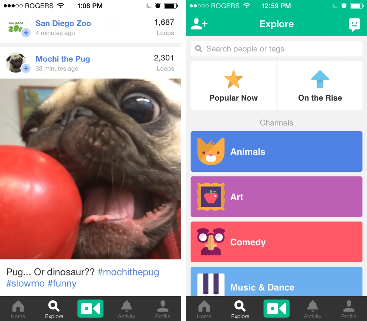 Vine for iOS