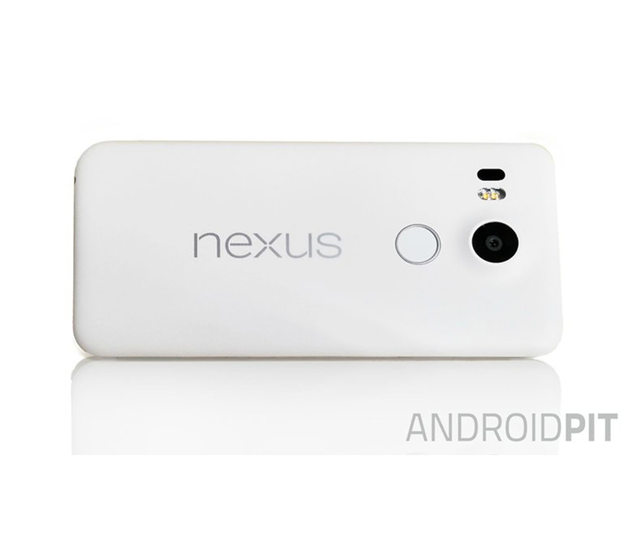 NexusX