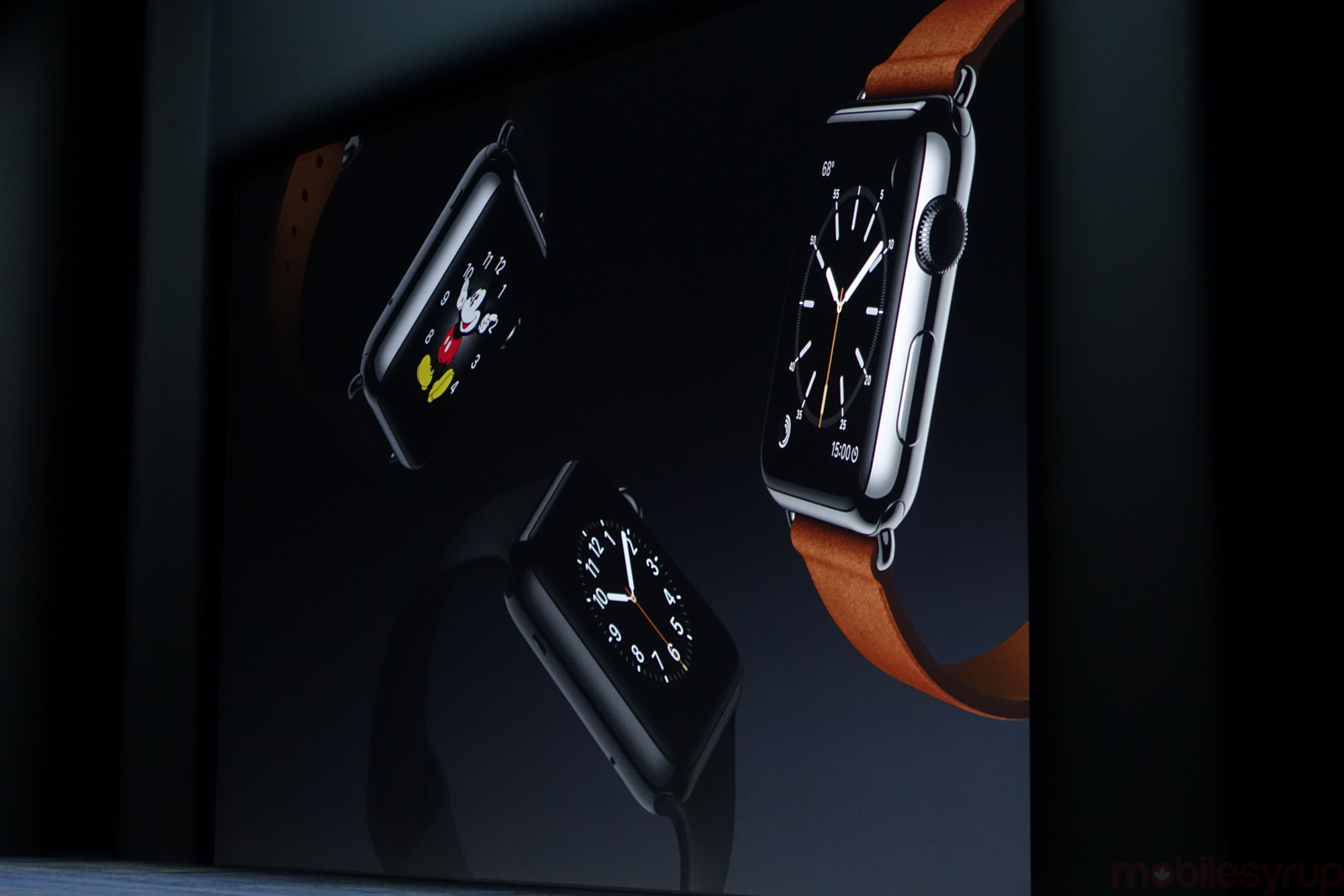 applewatchbands-01074