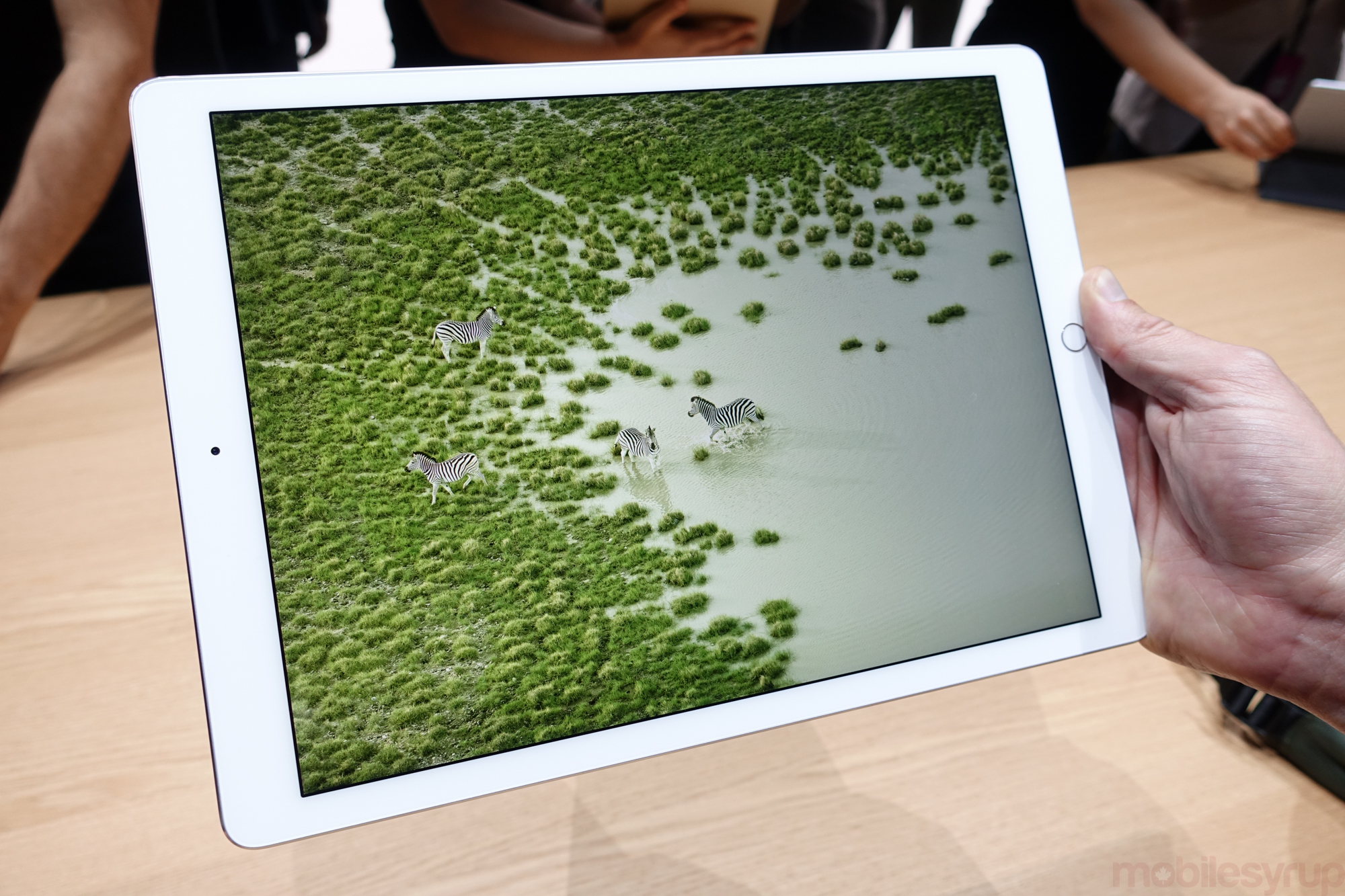 ipadproiphone6sevent-01159