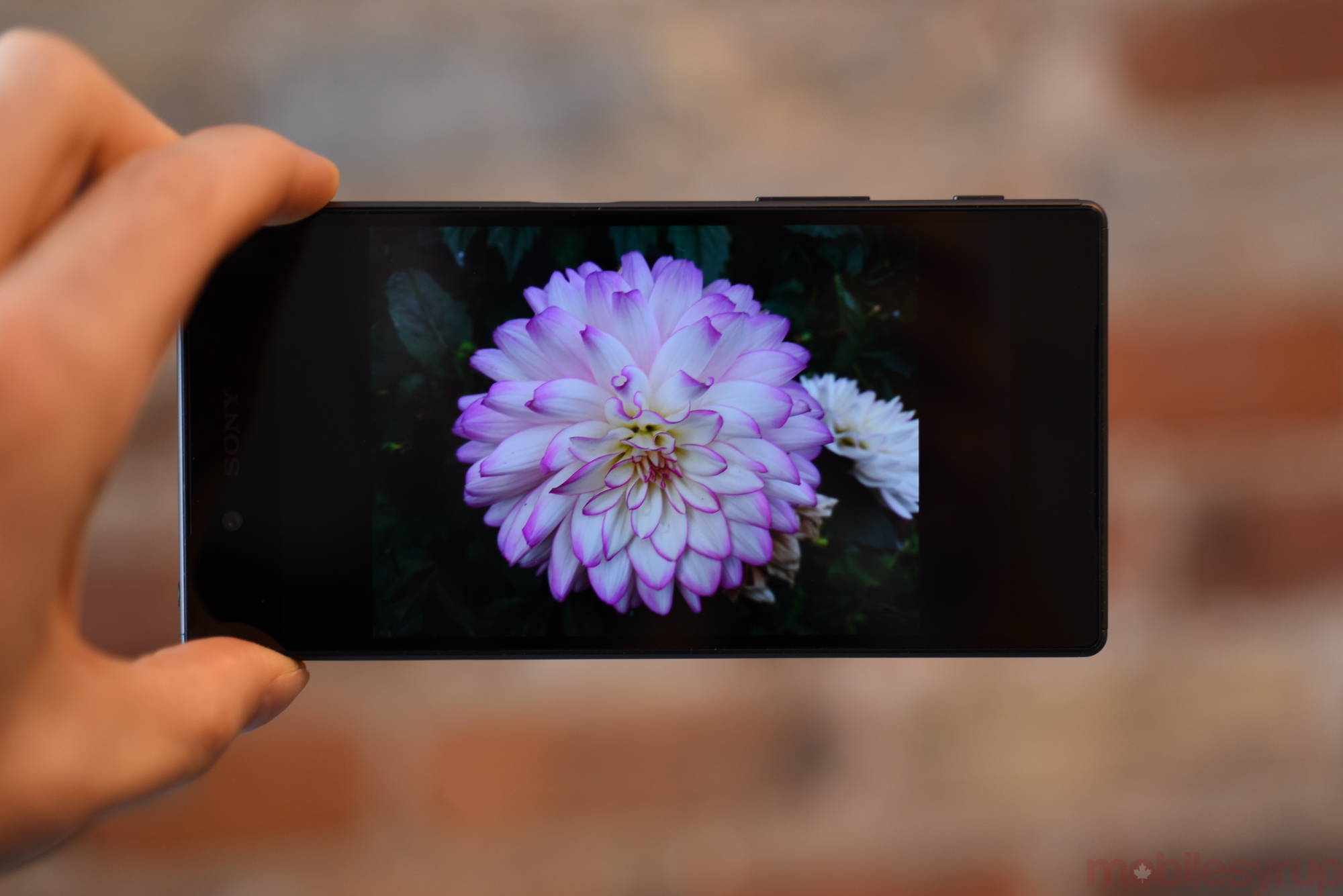 sonyxperiaz5review-0658