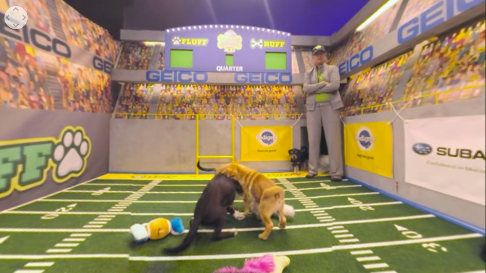 Puppy Bowl