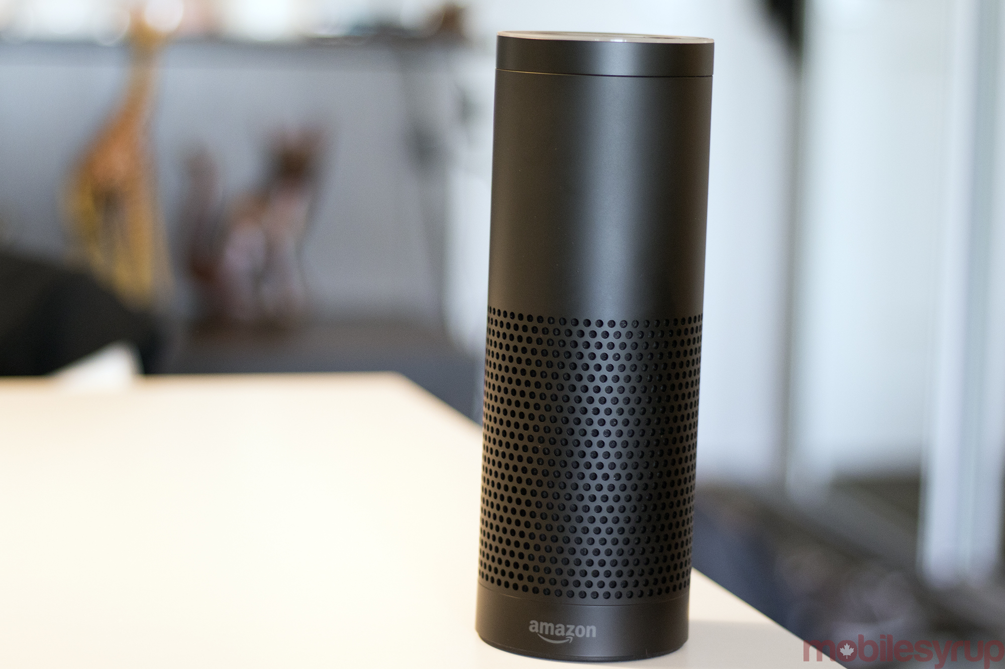 Amazon Echo speaker