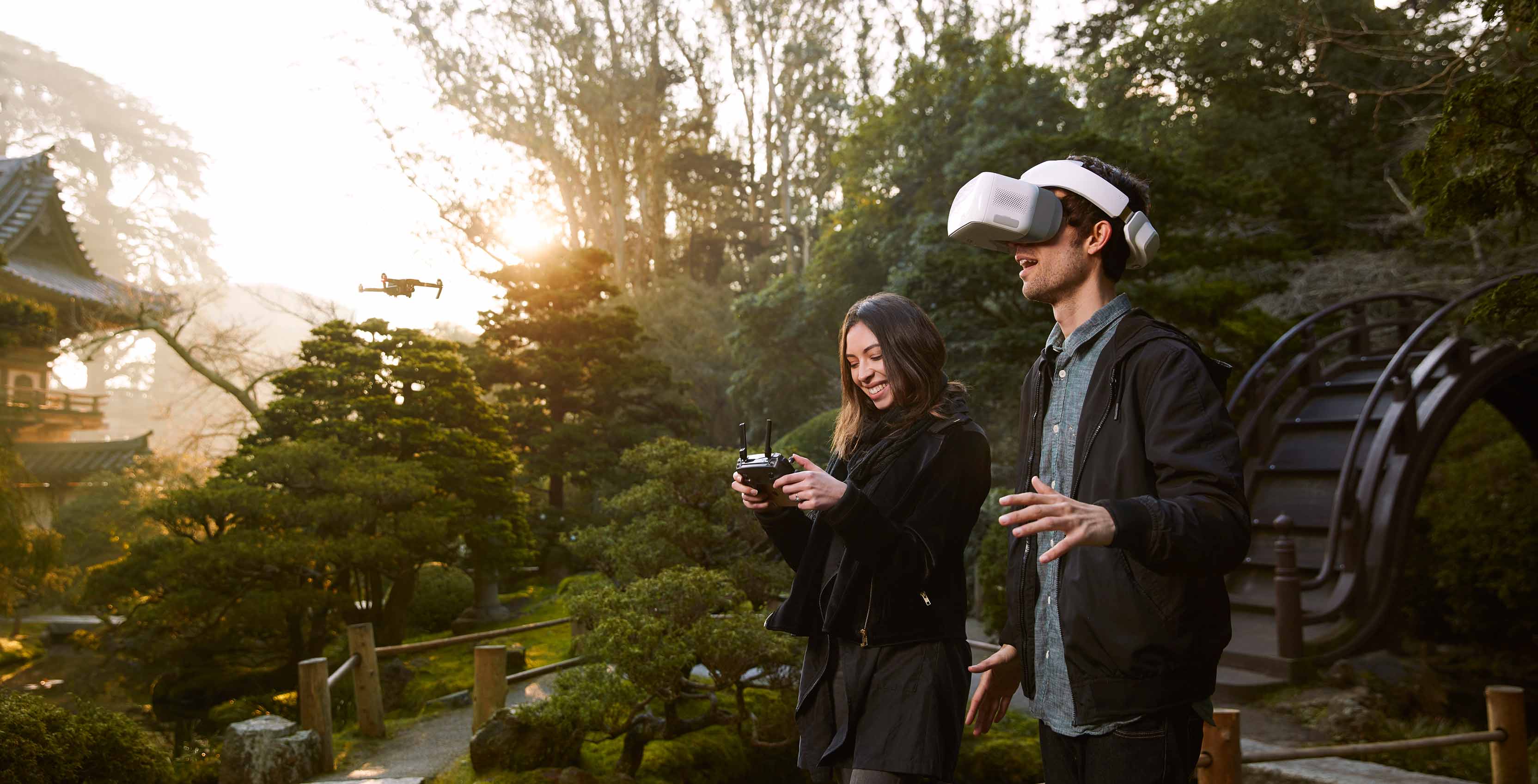 DJI Goggles