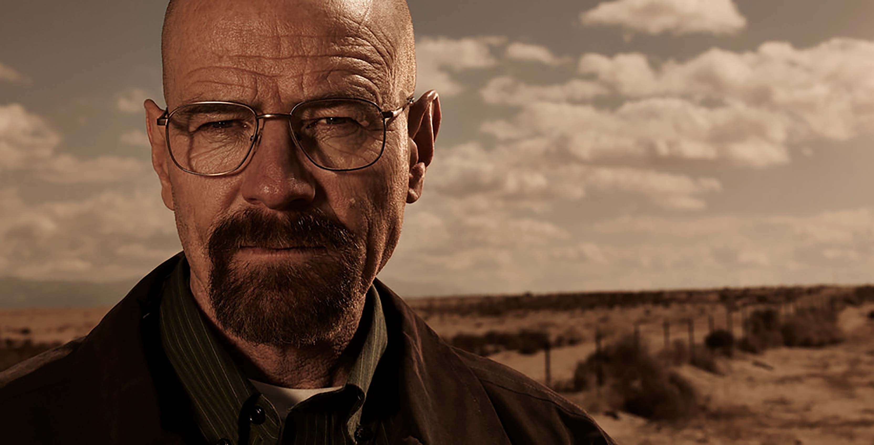 Breaking Bad Walter White