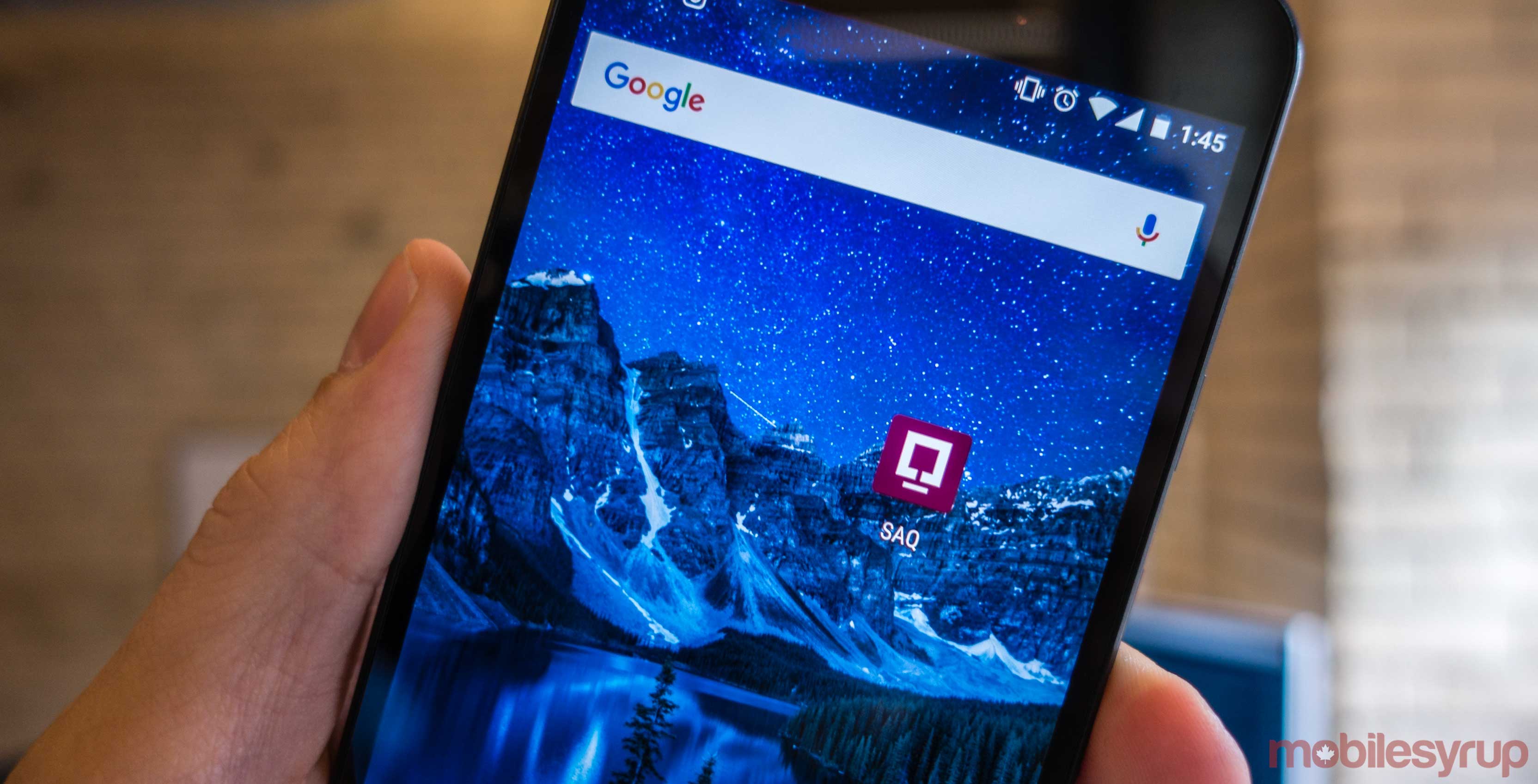 An image showcasing the SAQ app's icon on Android