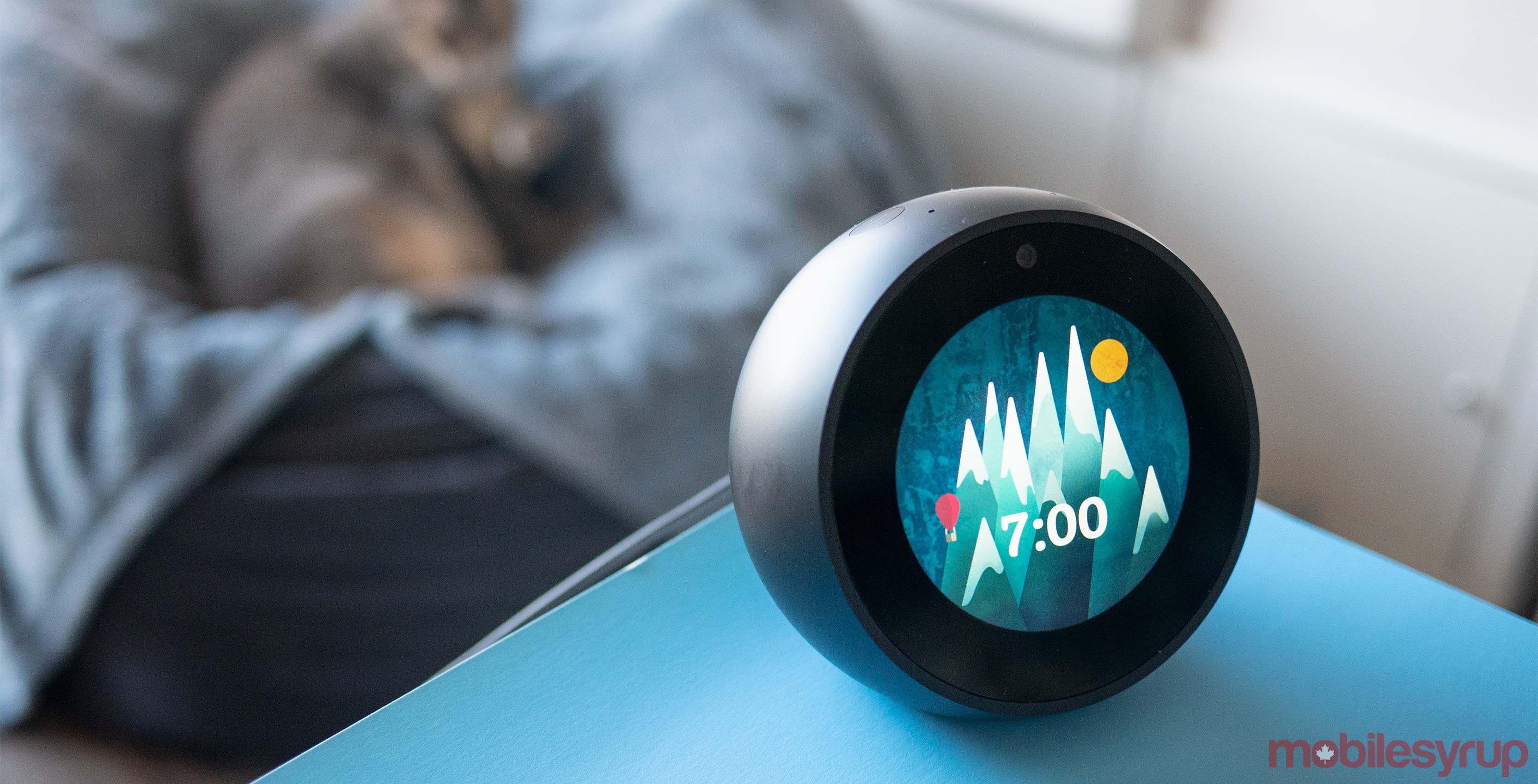 Echo Spot