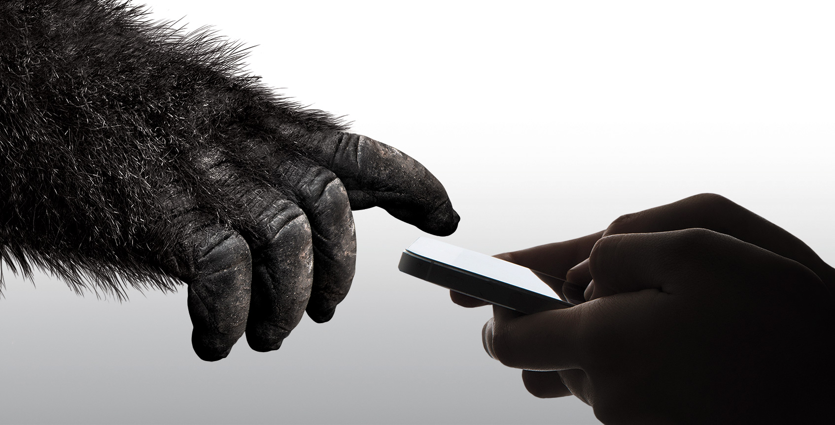 Gorilla Glass 6