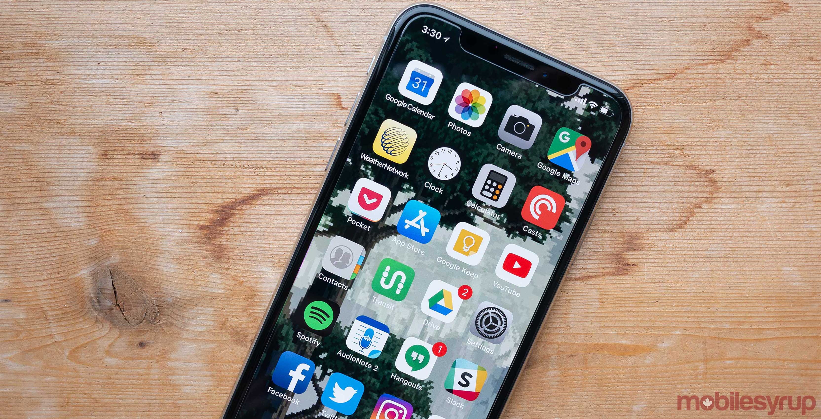 iPhone X