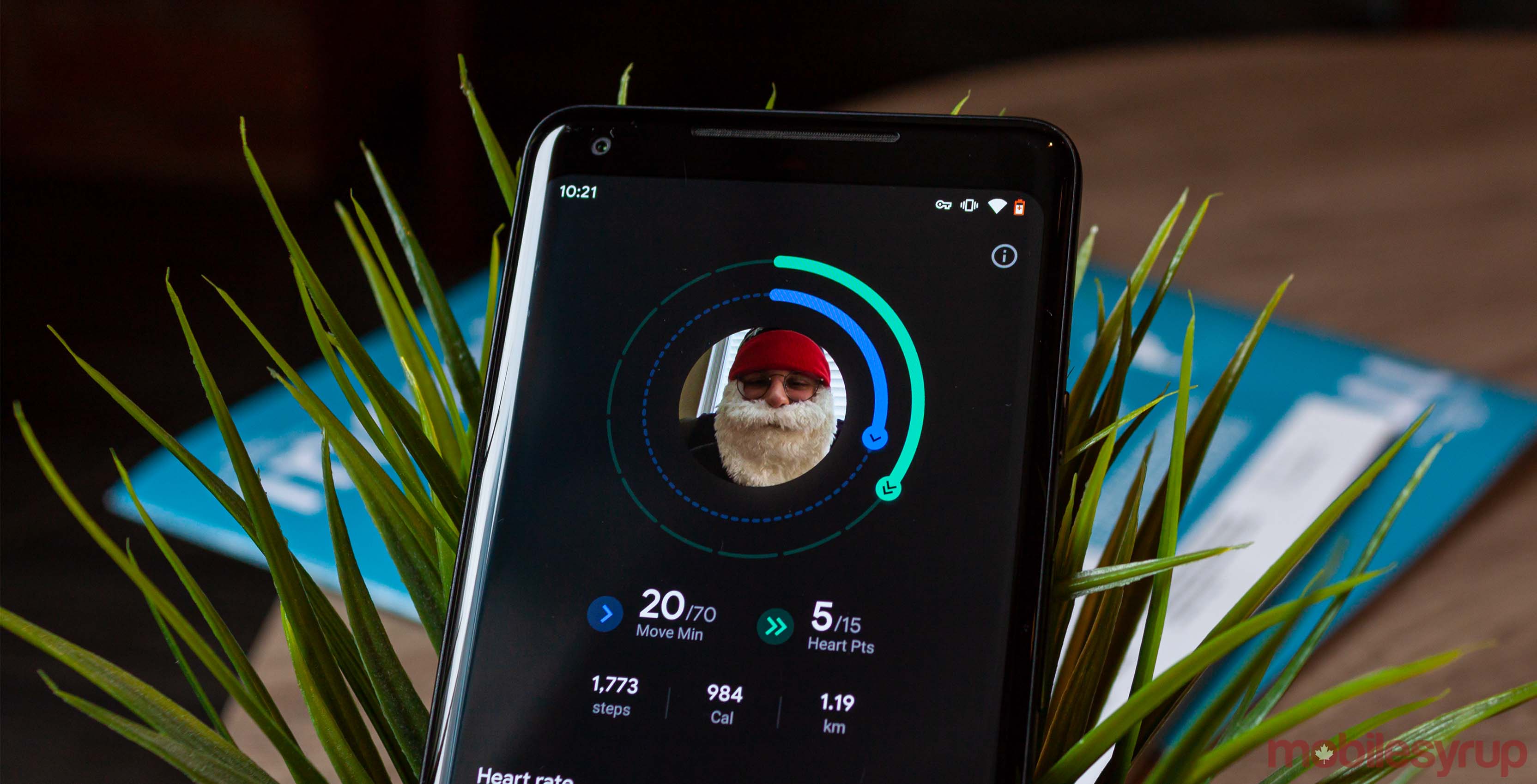 Google Fit dark mode