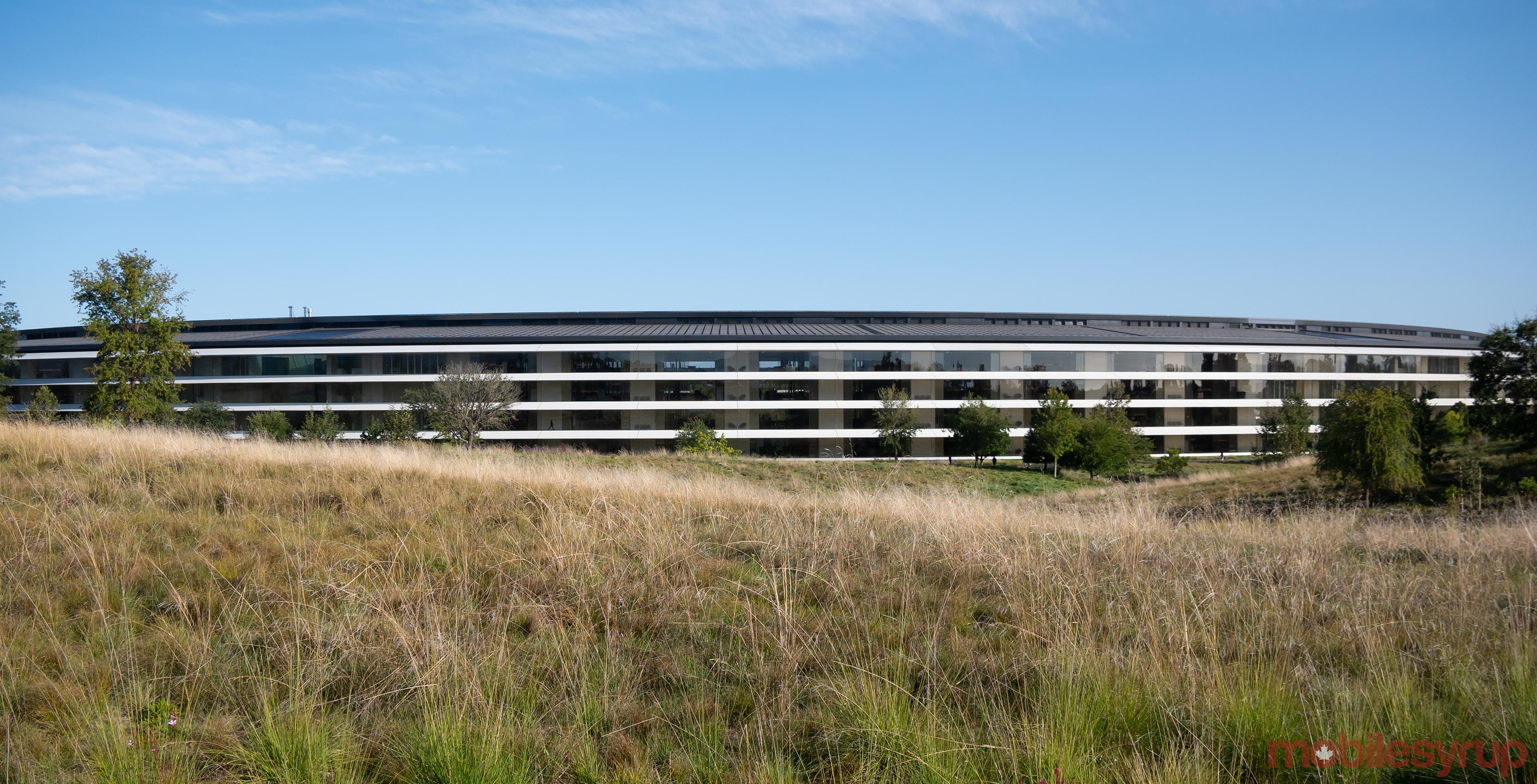 Apple space ship campus