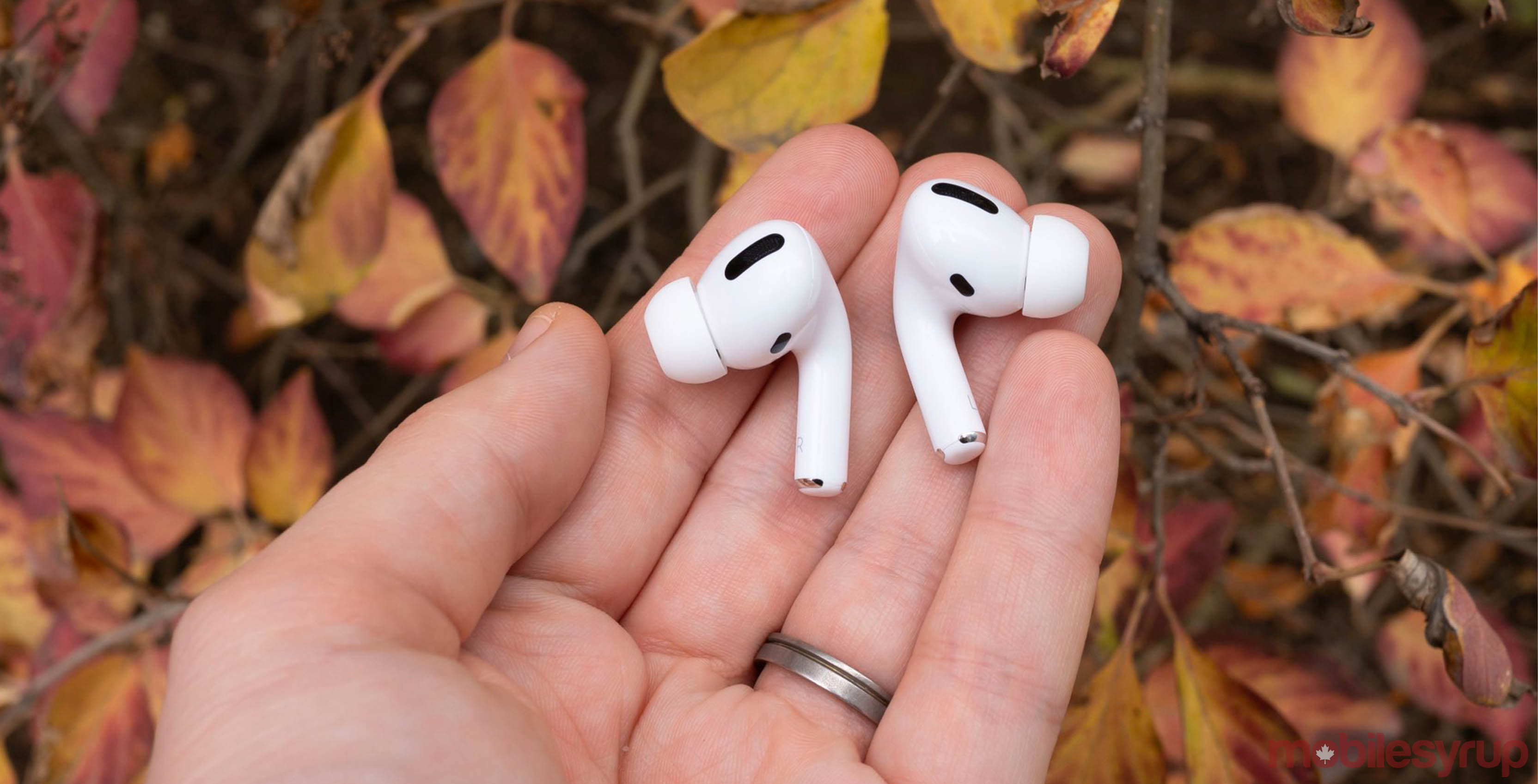 AirPod Pro