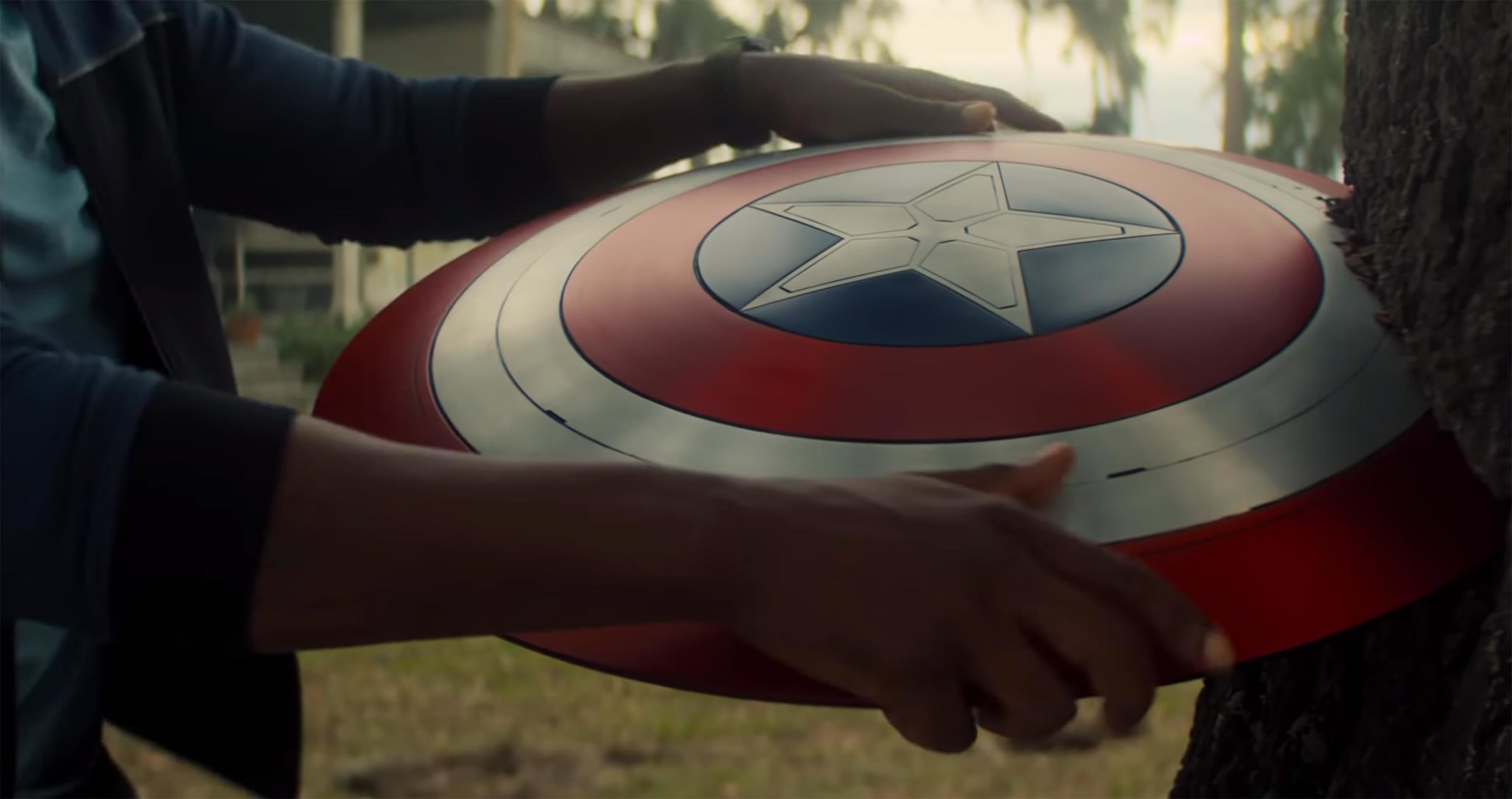 The Falcon and the Winter Soldier