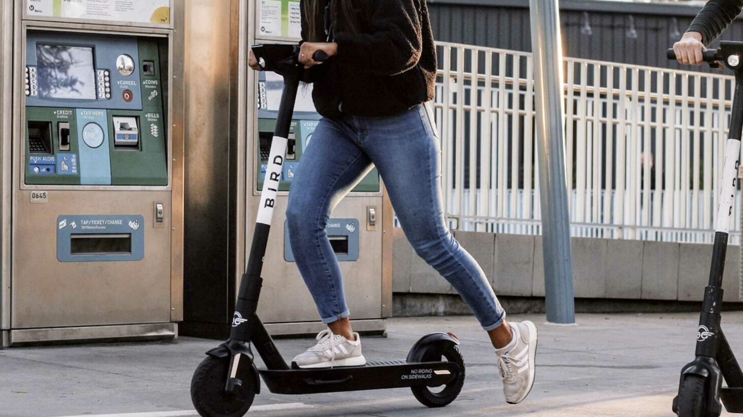 Bird Scooters