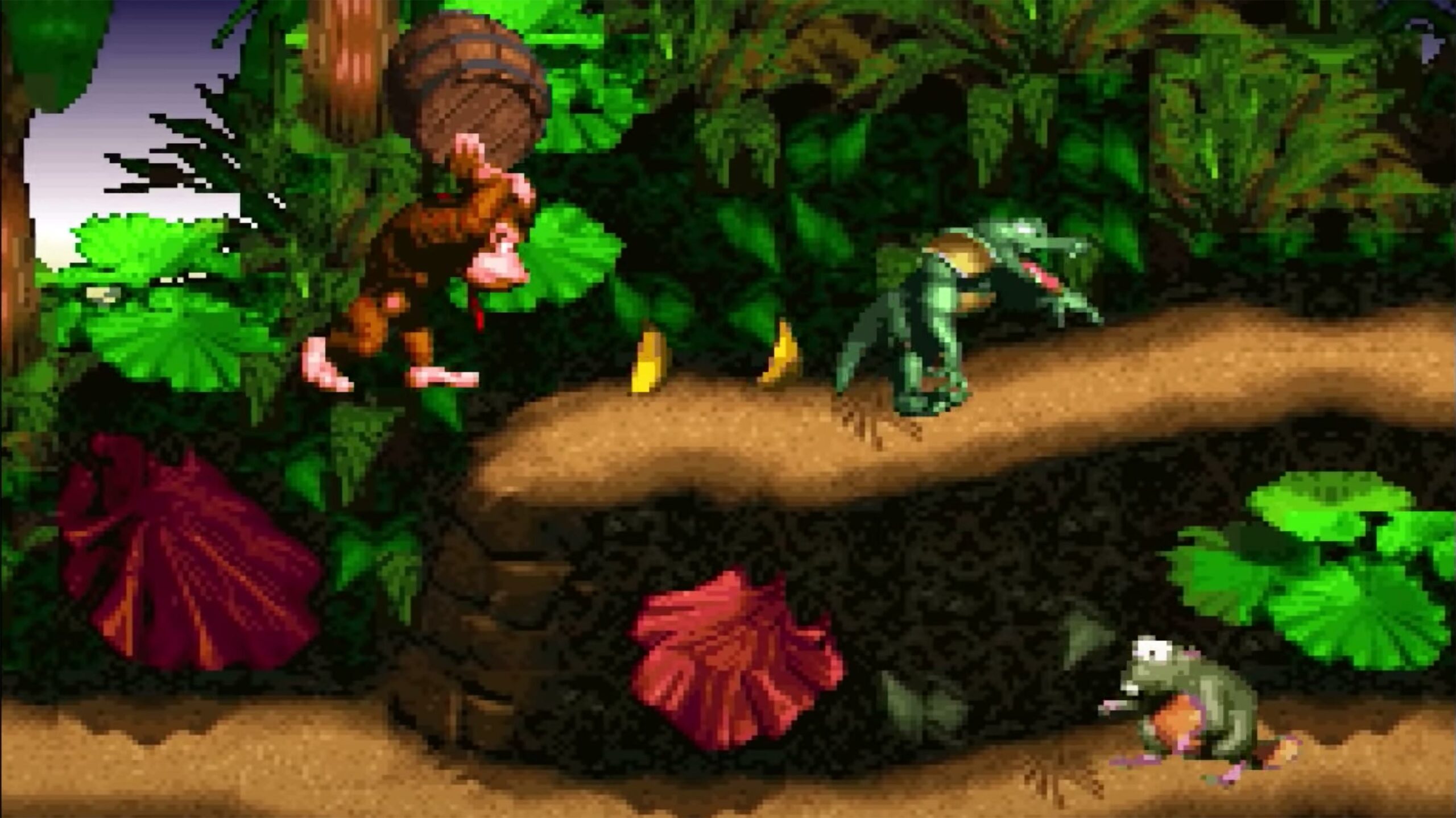 Donkey Kong Country