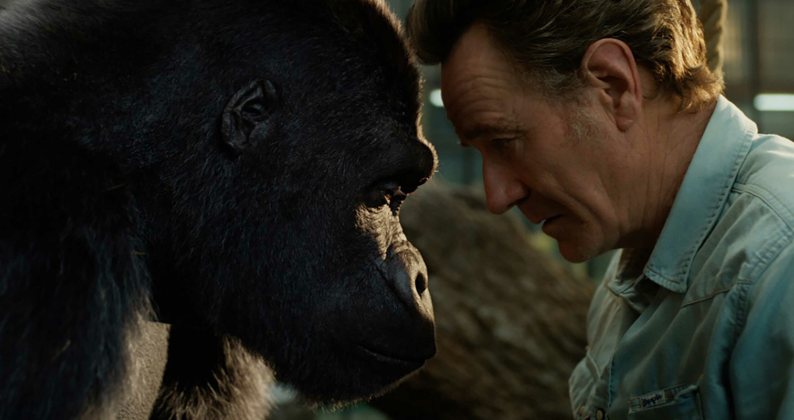 Bryan Cranston in The One and Only Ivan