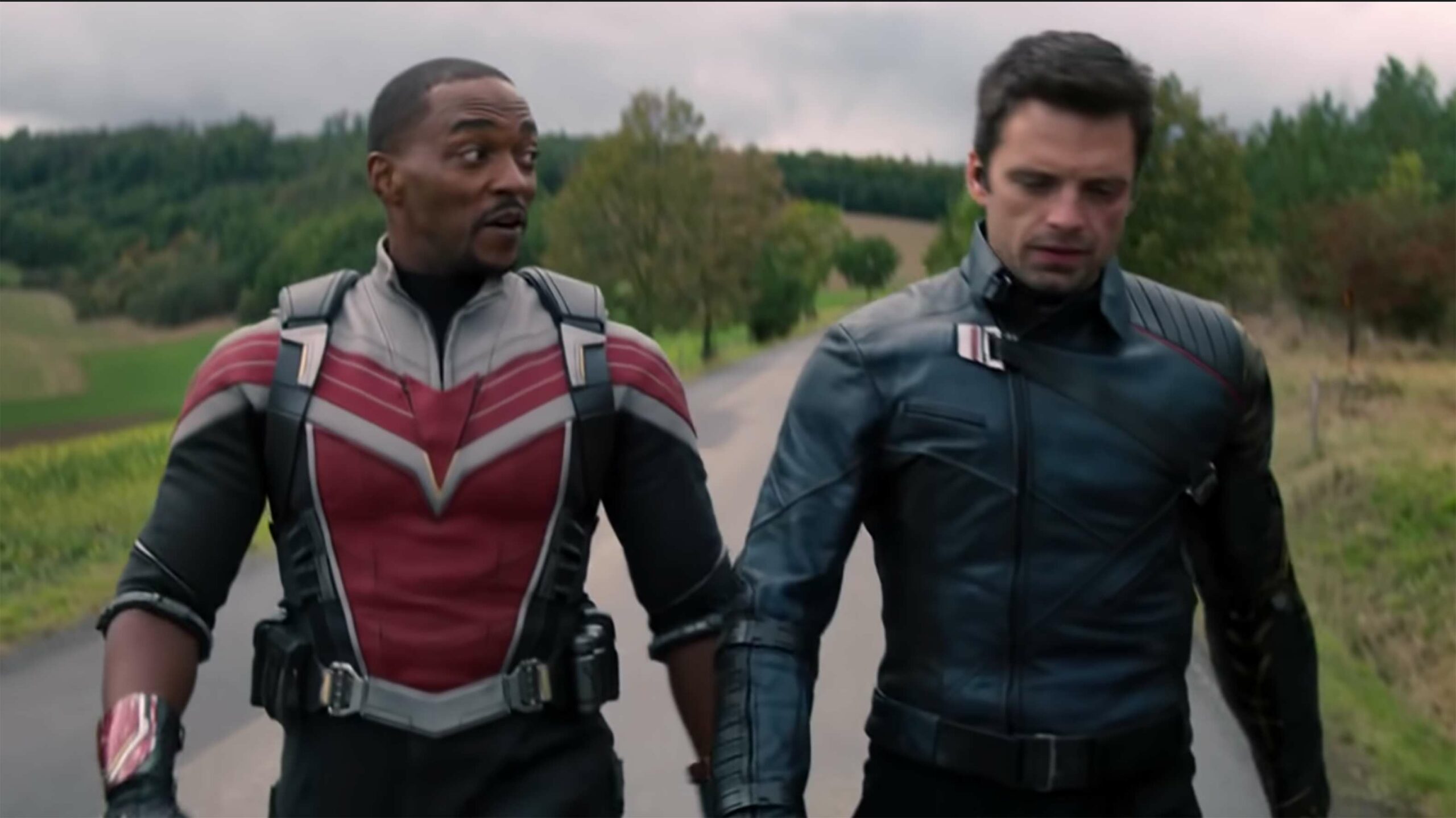The Falcon and the Winter Soldier
