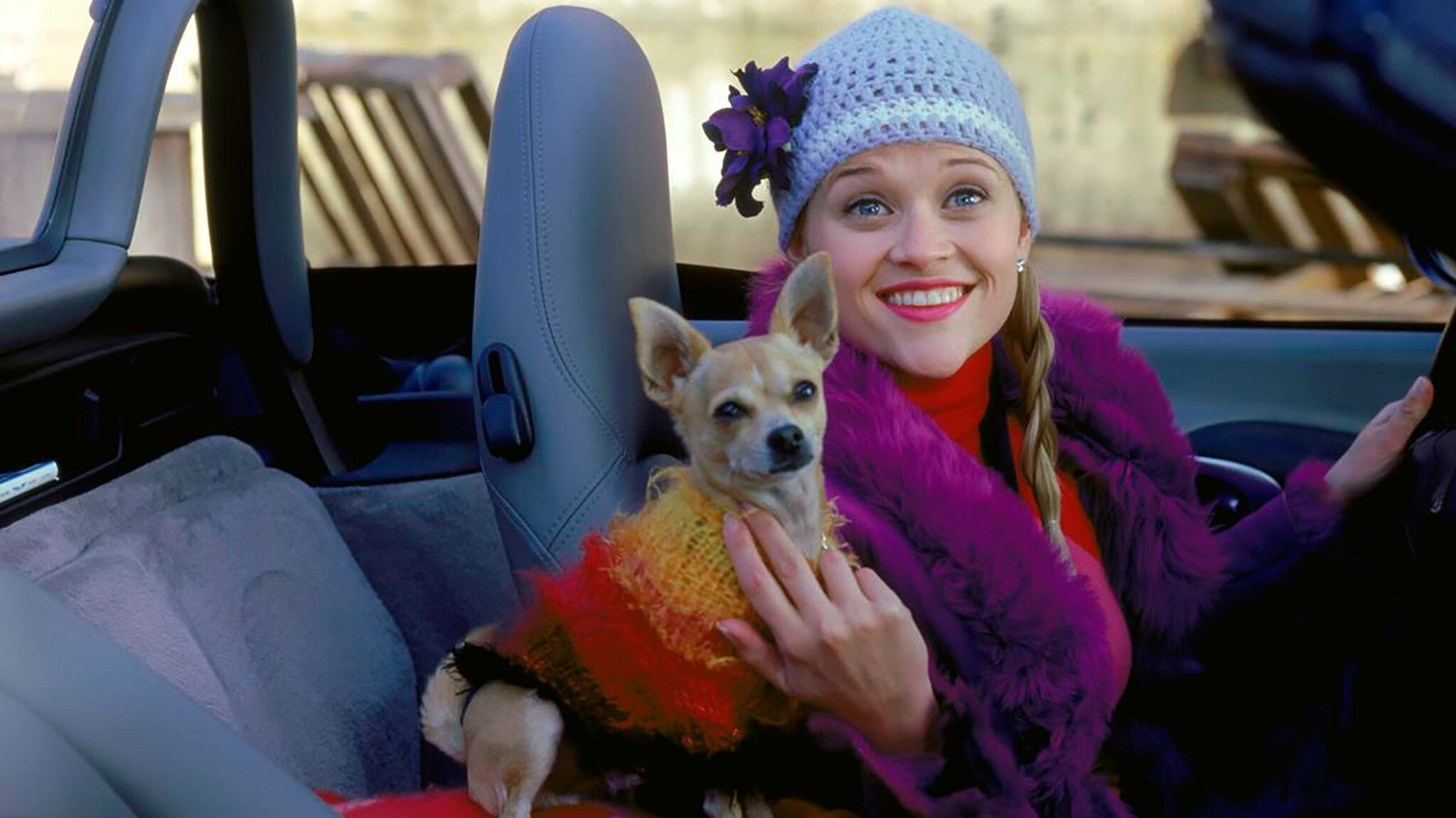 MGM reveals 'Legally Blonde' mobile game, coming later this year