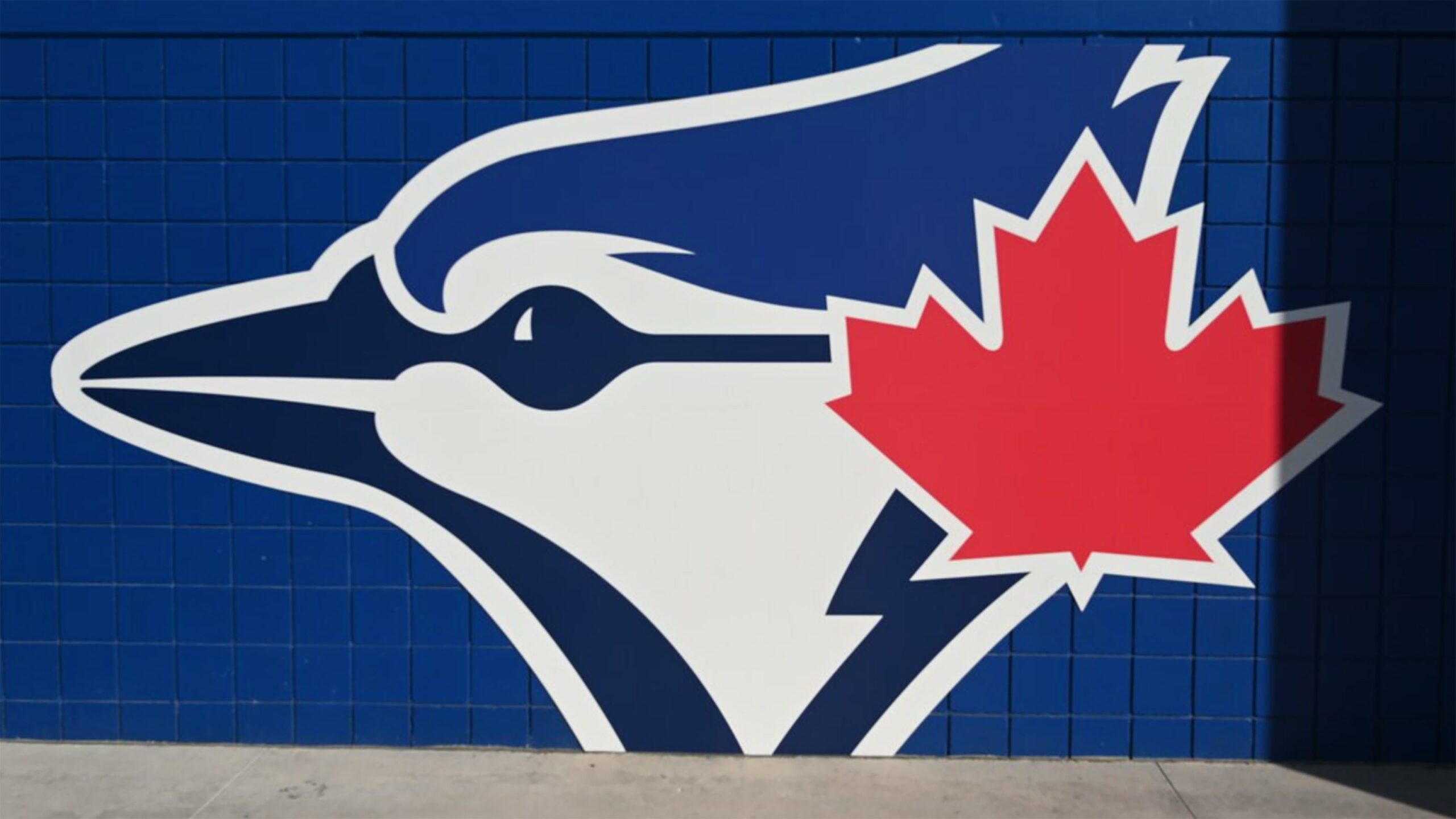 Toronto Blue Jays
