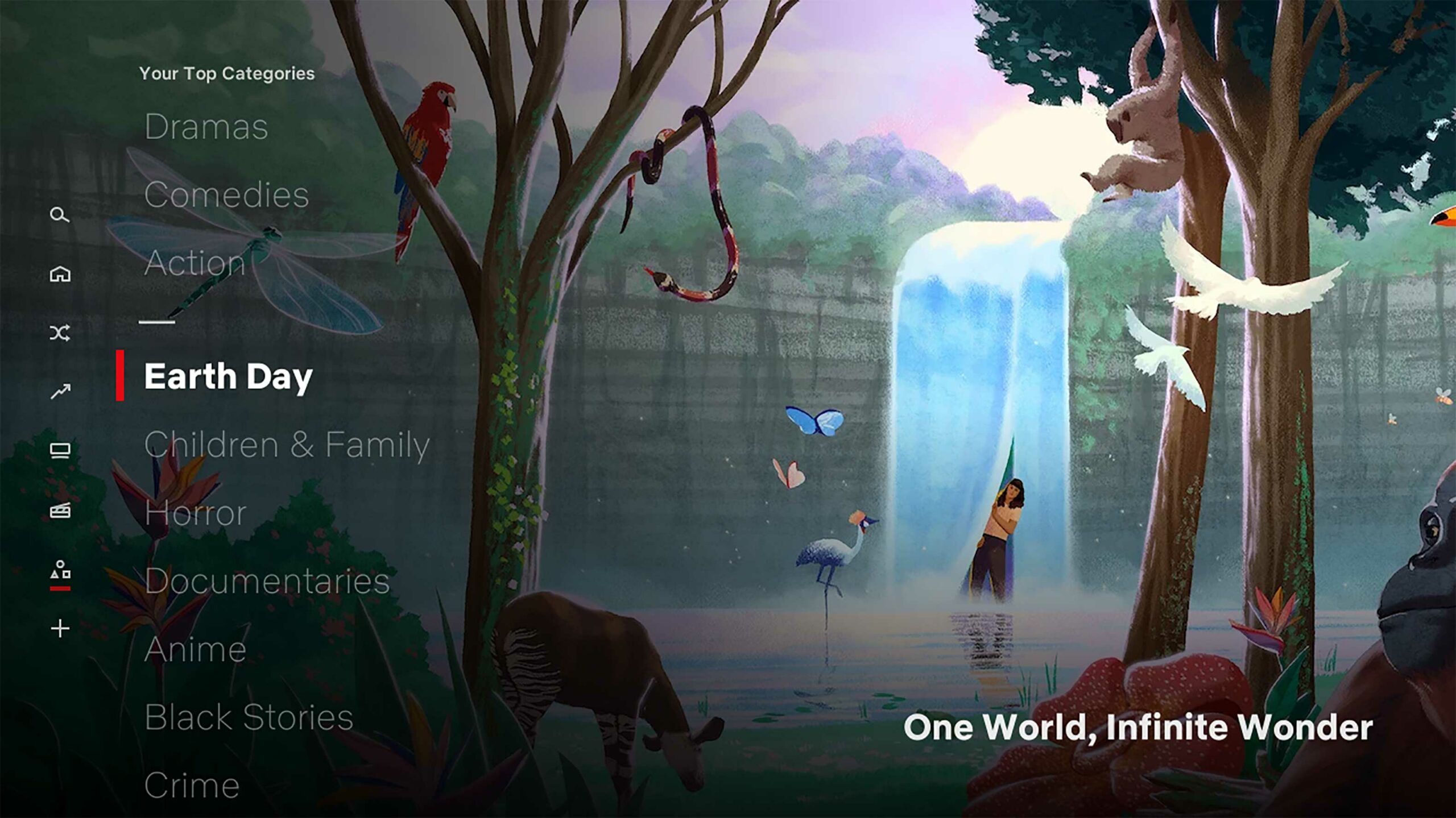 Netflix Category Hub