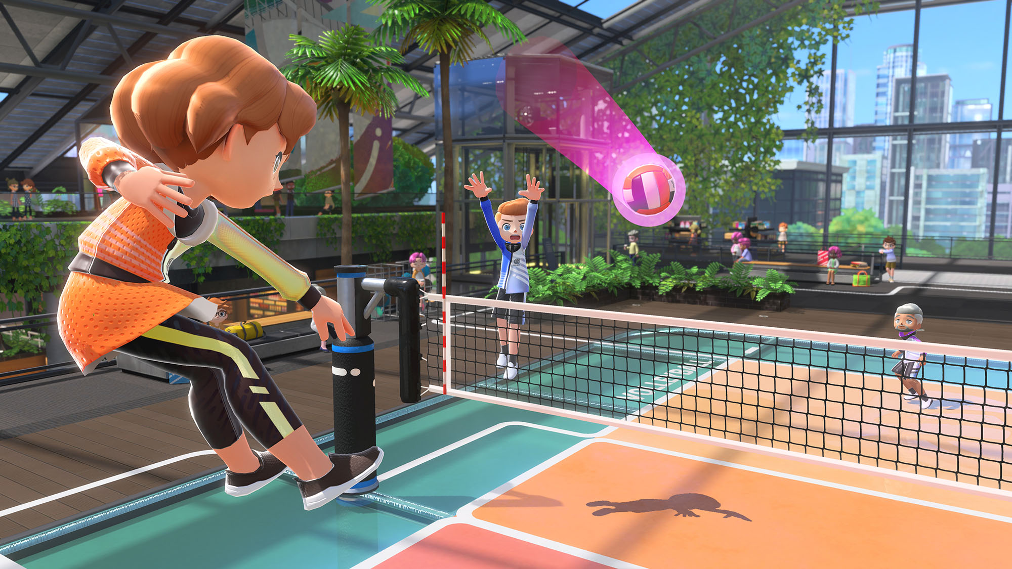 Switch Sports volleyball 