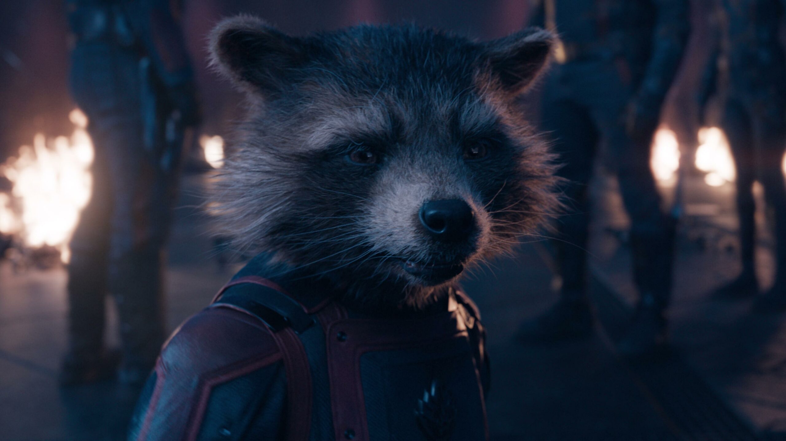 Guardians of the Galaxy Vol. 3 Rocket