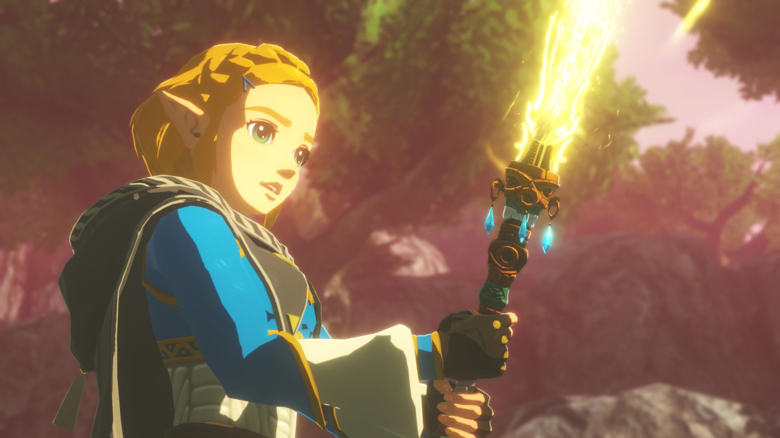 Age of Imprisonment Zelda with sword