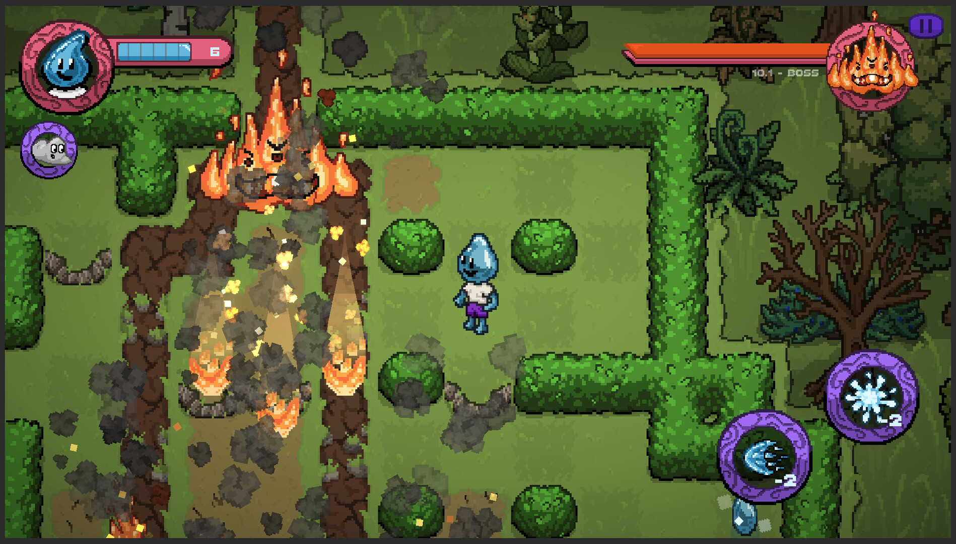 Source: Save the Forest