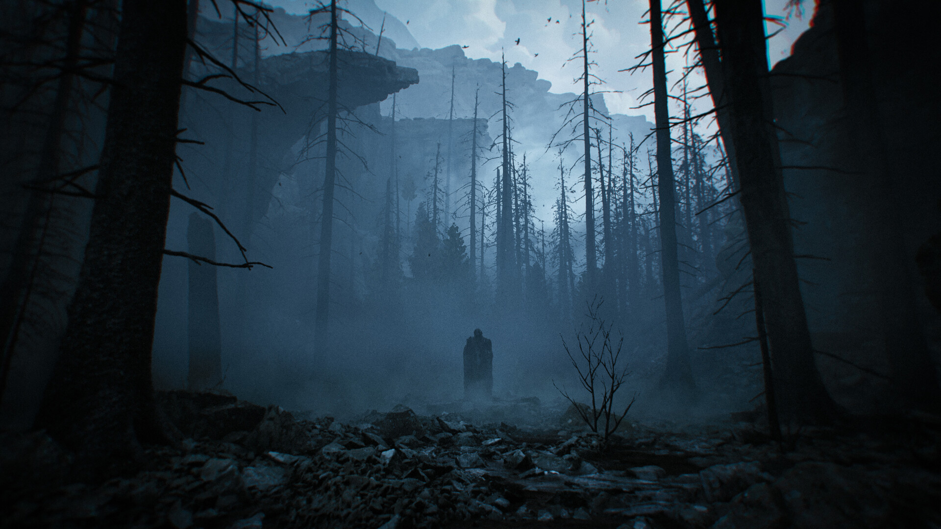 Lucid Falls forest