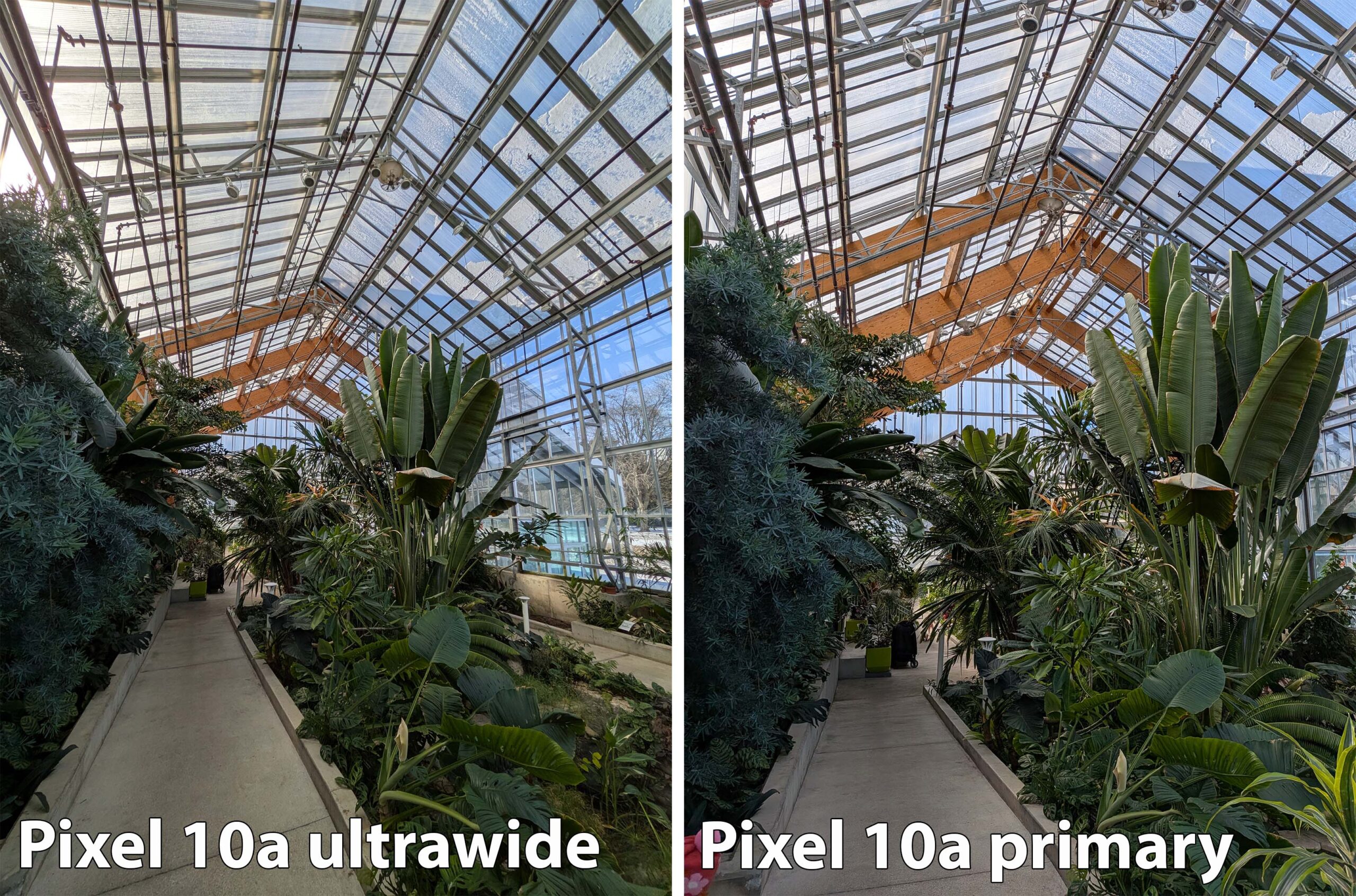 Pixel 10a ultrawide and main sensor comparison.