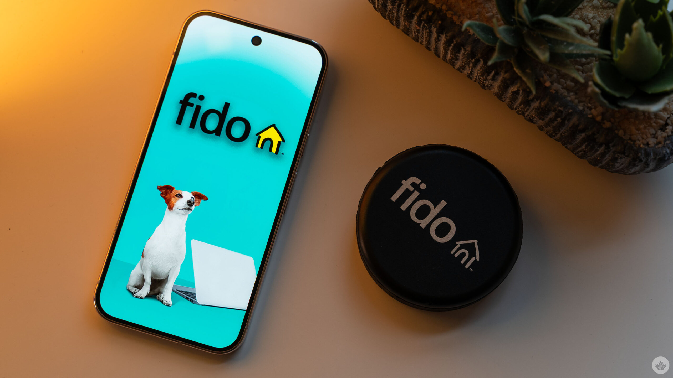Fido logo on a smartphone