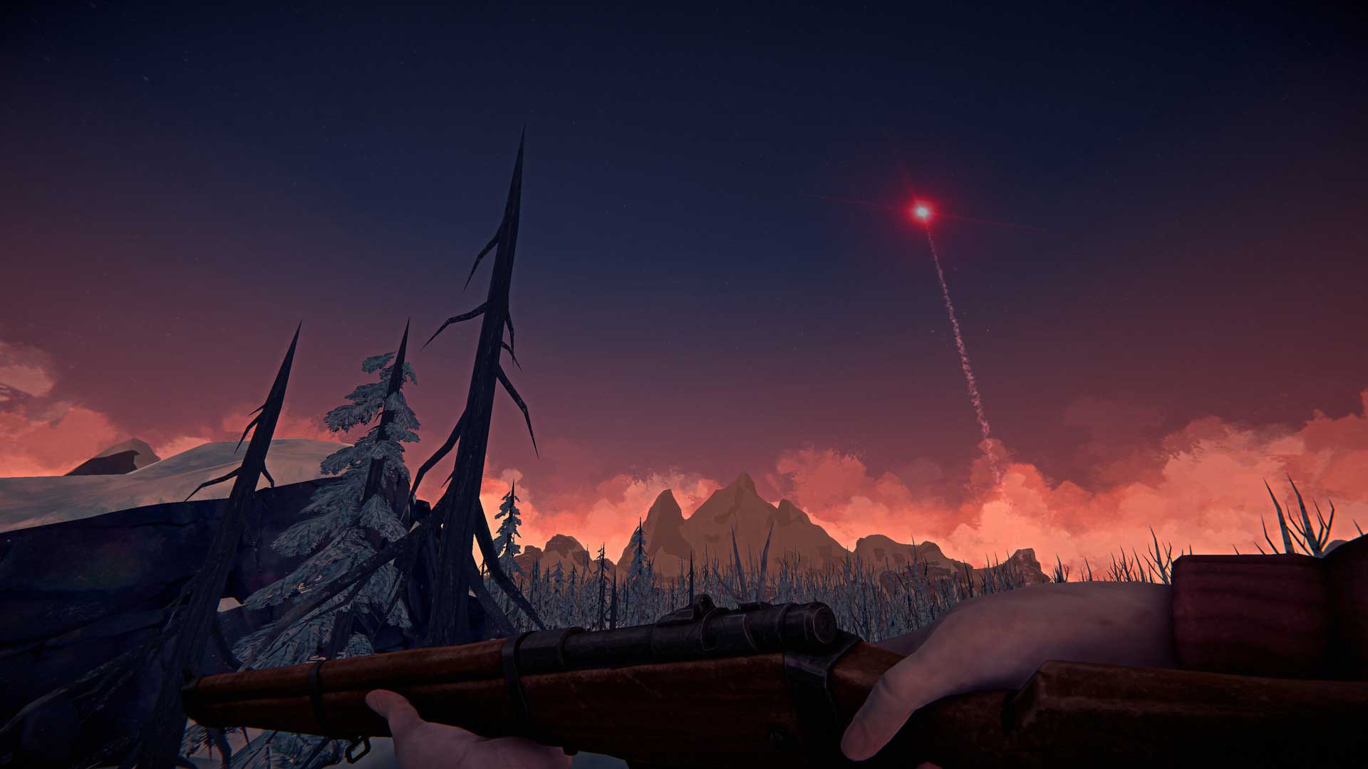 The Long Dark flare