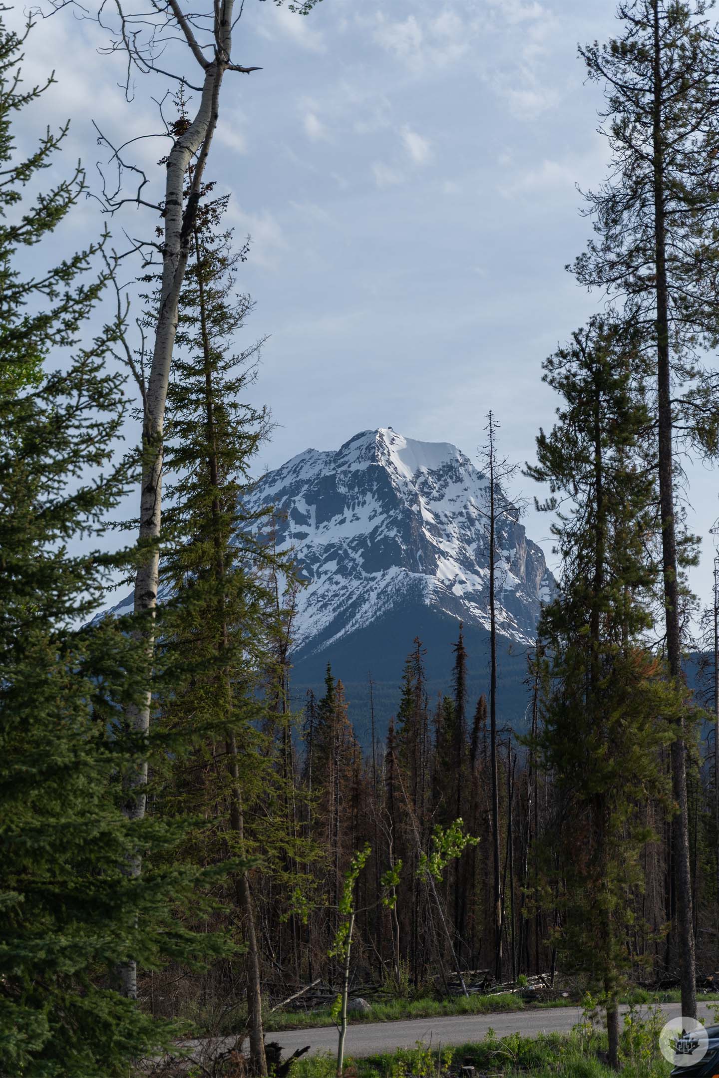 gm bc trip day 2 mountain through trees